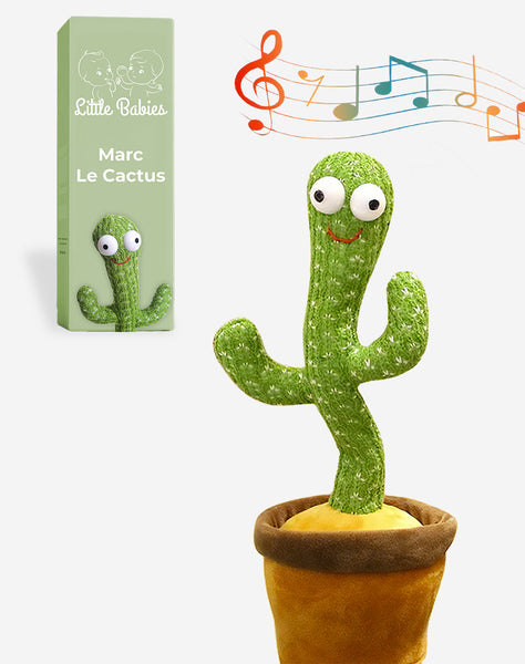 Marcus le Cactus